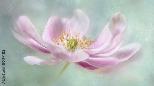 Soft Pink Water Lily in Gentle Light