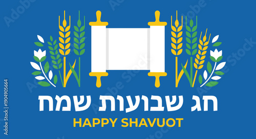 Happy Shavuot greeting card with white Hebrew text Chag Shavuot Sameach and open Torah scroll with wheat ears for Jewish religious festival of weeks celebration.