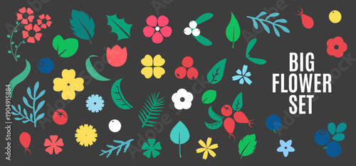 A vibrant collection of illustrated flowers and leaves in various colors on a dark background, showcasing nature's beauty.