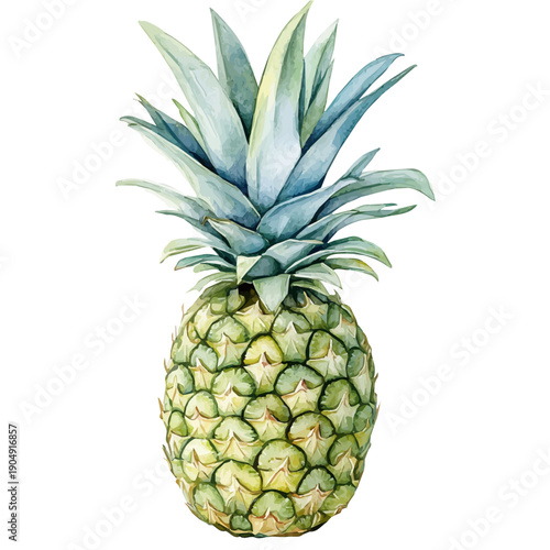 Pineapple, cute watercolor illustration with intricate patterns and vibrant splashes, isolated on a white background.