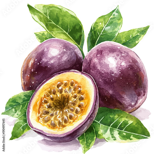 Passion Fruit, playful watercolor vector depicting lively antics and expressive gestures, isolated on a white background.
