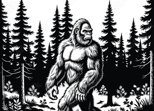 Bigfoot sasquatch illustration, mythical forest creature walking through pine woods, detailed black and white engraving style wildlife fantasy art scene
