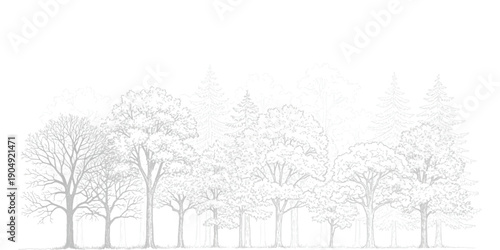 A minimalist monochrome line art illustration of a diverse forest tree line against a white background