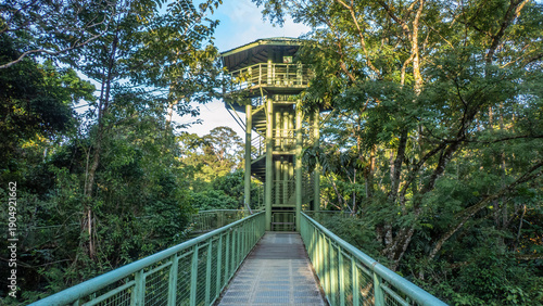 Rainforest Skywalk at the Rainforest Discovery Centre, Sandakan, Sabah, Borneo, Malaysia