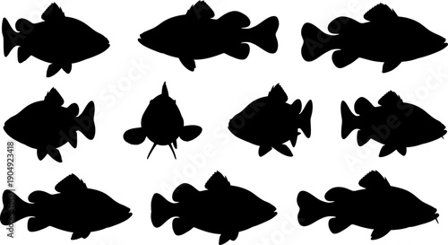 Silhouette of various fish species in different orientations