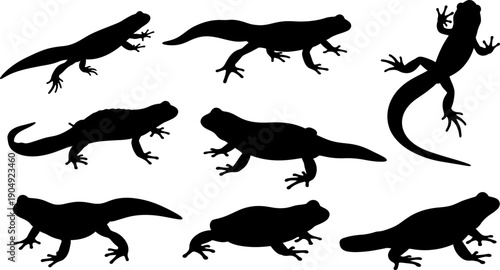 Collection of various lizard silhouettes on white background