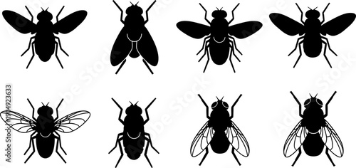 Silhouette of various insects and flies in different positions