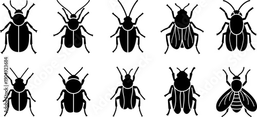 Silhouette of various beetle species in a grid pattern