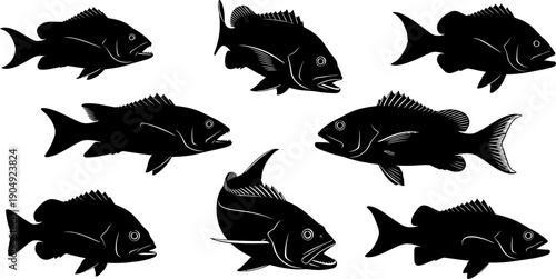 Silhouette of nine fish swimming in different directions