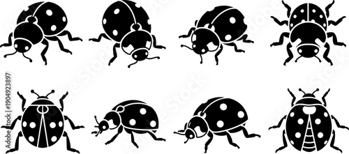 Silhouette of various ladybugs in different poses and angles black and white image