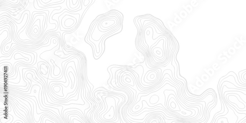 Abstract topography pattern seamless lines sea map modern design white background. Abstract digital topographic contour map concept space geometric strip grid line. Natural discovery of maps.