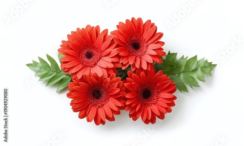 Vibrant red gerbera daisies arranged with green leaves for a cheerful floral display