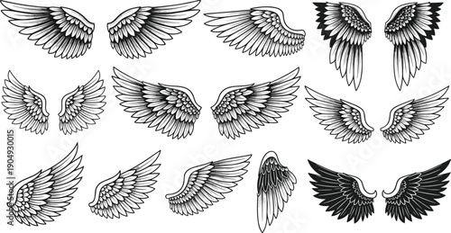 Intricate wing illustration set featuring fourteen pairs with varied feather arrangements, shading styles, and symmetrical designs for fantasy artwork, tattoos, and logos.