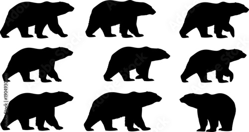 Silhouette of a bear in various walking positions a collection of nine black bear silhouettes