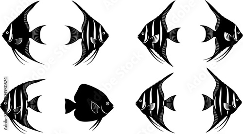 Silhouette of six angelfish with distinctive stripes and fins in a symmetrical arrangement