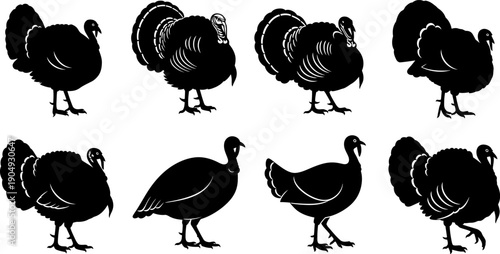 Silhouette of multiple turkeys in various poses and directions