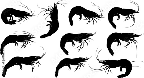 Silhouette of various crustacean side views in nine different poses