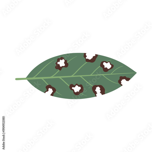 A detailed digital illustration of a diseased green leaf with brown spots.