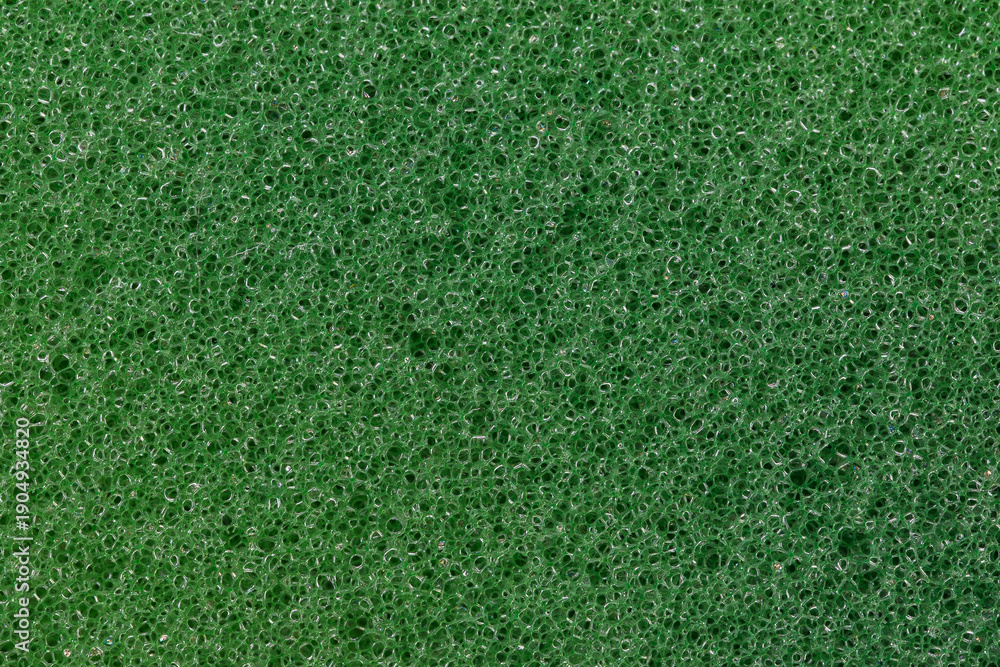 Fototapeta premium Green Sponge Texture