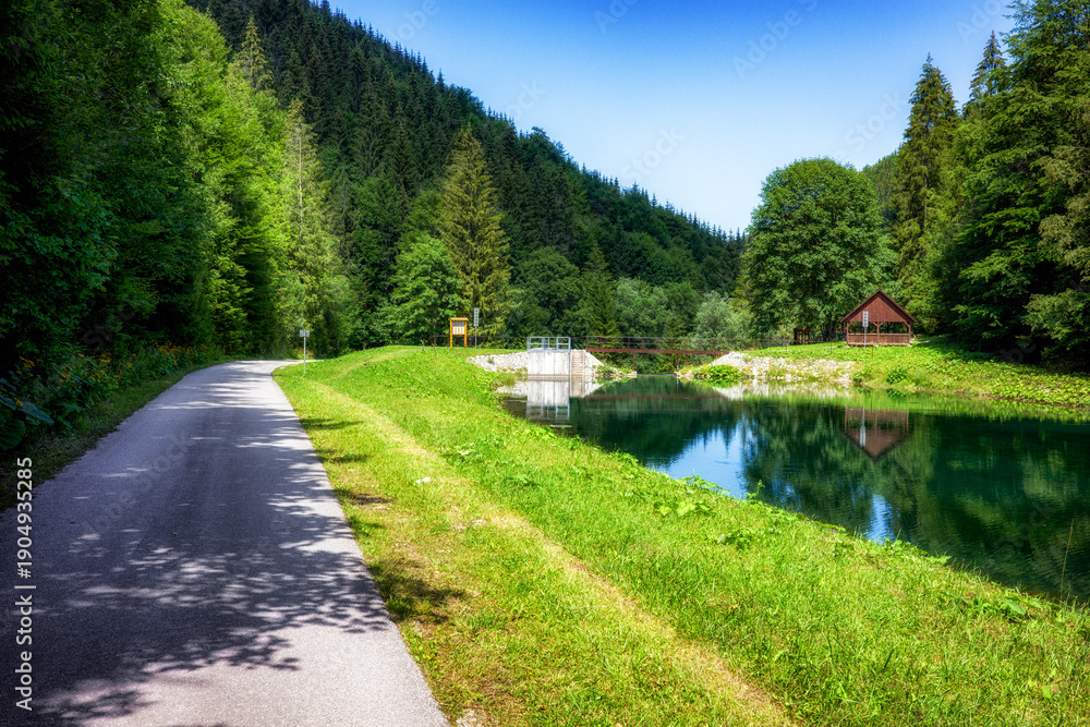 Fototapeta premium Forest reservoir with walking path and reflections of coniferous trees in mountain valley
