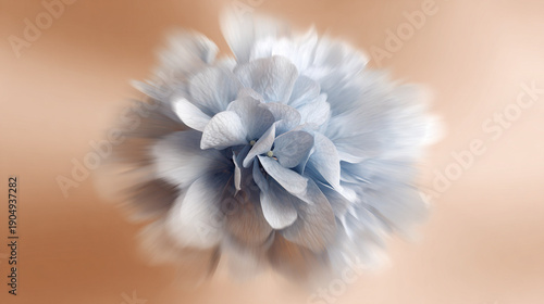 Close-up of a soft focus flower against an orange background