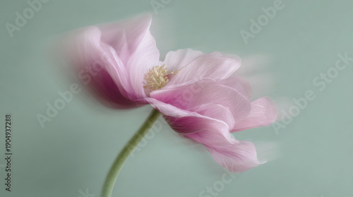 Soft Pink Blossom on Light Green Background