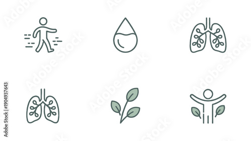 Wellness icons depicting well-being, healthy habits and the human body.