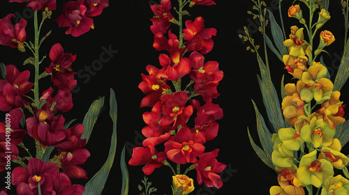 Vibrant Red, Yellow, and Green Orchids Against Black Background