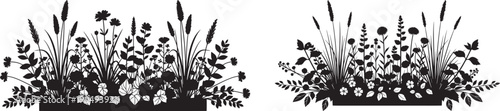 Vector illustration of diverse wildflowers and grasses, a beautiful nature border