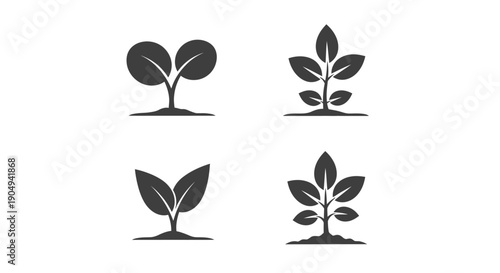 Seedling growth illustrations depict the beginning stages of.
