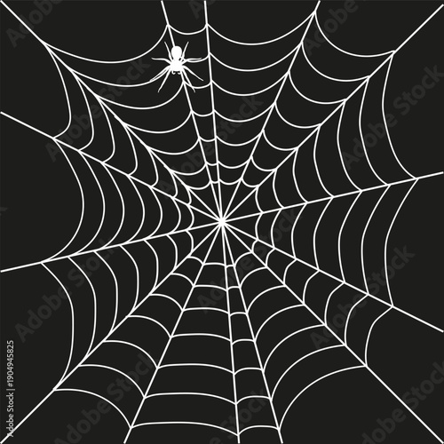 Spider web, realistic white web on a black background, web with a spider. Vector, designer illustration, web banner. Vector.
