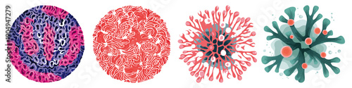 Bubble Coral  Flat Vector Illustration on Transparent Background