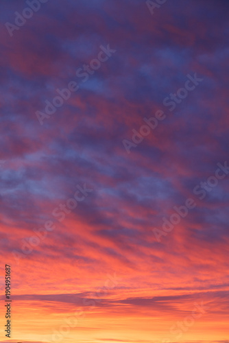 Vertical composition of red and purple sunset clouds.