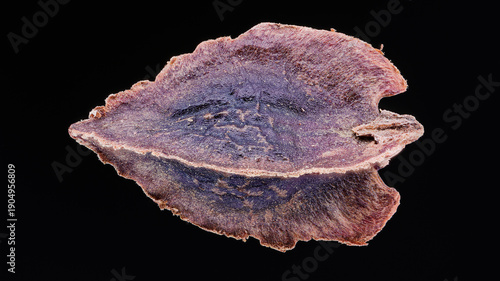 Macro of Rheum rhaponticum seed in extreme detail