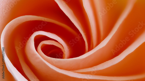 Extreme macro of Rosa rose at 2x zoom