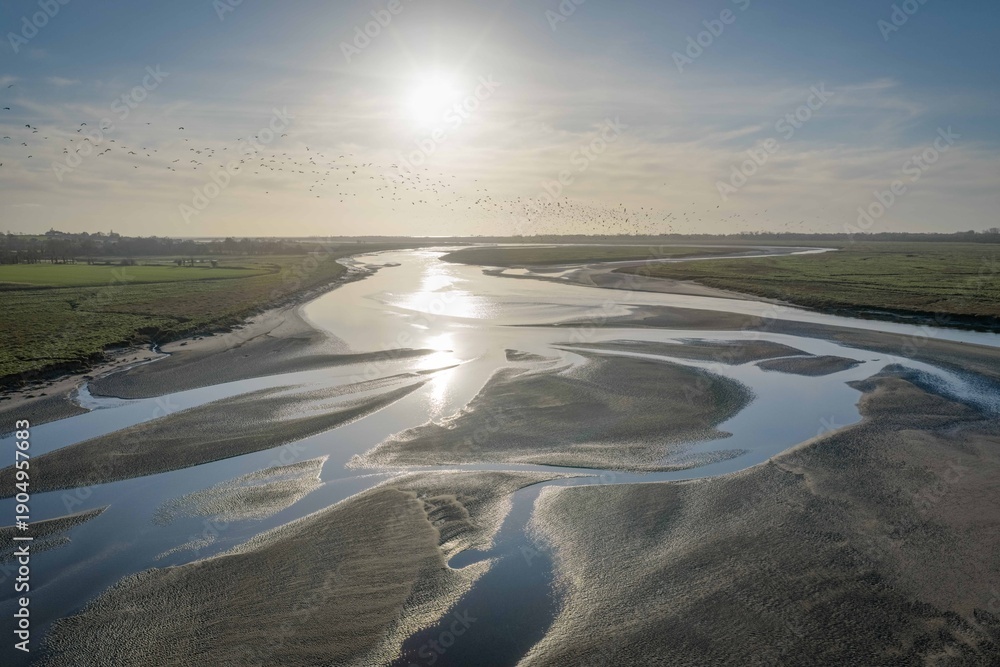Naklejka premium vue de la rivière de la Sienne 