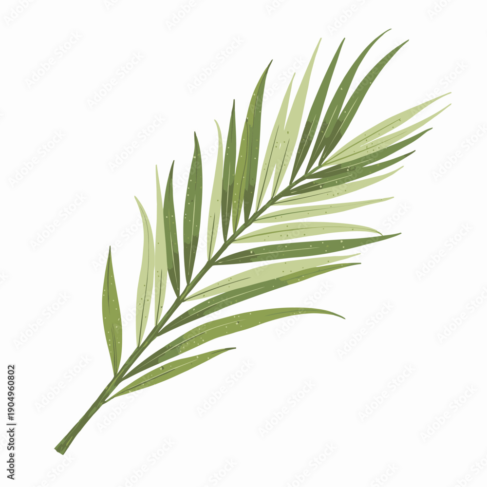 Fototapeta premium Detailed Illustration of a Single Green Palm Leaf with Delicate Structure and Natural Color Variation on a White Background