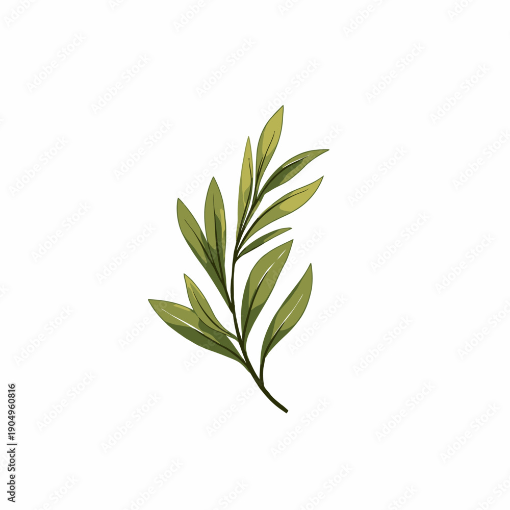 Fototapeta premium Illustration of a Simple Green Leafy Branch on a Plain White Background with Minimalist Aesthetic and Elegant Botanical Details