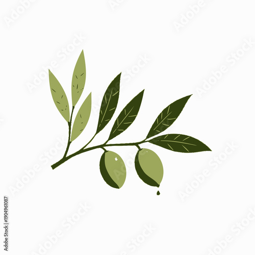Artistic Illustration of a Branch with Green Olives and Leaves, Depicting Botanical Elements and Natural Aesthetic in Minimalist Style
