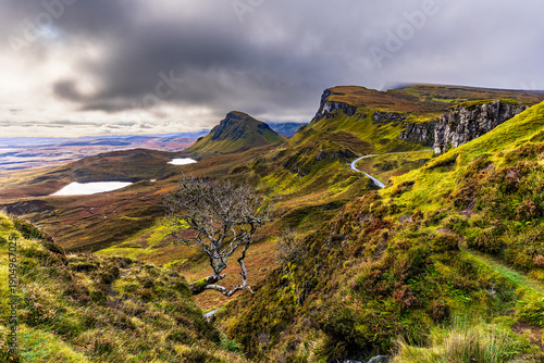 Wallpaper Mural Iconic lone tree overlooking the dramatic hills and winding road of the Quiraing on the Isle of Skye, Scotland, creating a powerful mountain landscape with vibrant colors and natural textures. Torontodigital.ca