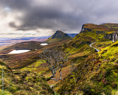 Wallpaper Mural Vertical view of the iconic lone tree overlooking dramatic hills and a winding road in the Quiraing on the Isle of Skye, Scotland, creating a scenic mountain landscape ideal for travel backgrounds. Torontodigital.ca
