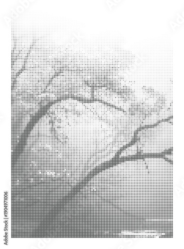 Foggy forest tree branches forming soft atmospheric woodland scene. Halftone effects