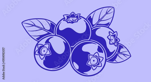Cluster of three ripe blueberries with leaves, illustration, close-up view
