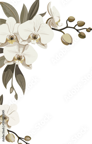 orchid vignette