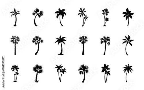 Collection of stylized black and white palm tree silhouettes in varying poses isolated on white background, Vector, illustration