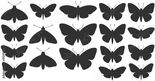 Collection of diverse black and white moth illustrations in flight and rest positions isolated on white background, Vector, illustration