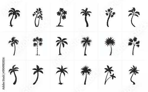 Diverse styles of palm tree silhouettes in a grid layout isolated on white background, Vector, illustration