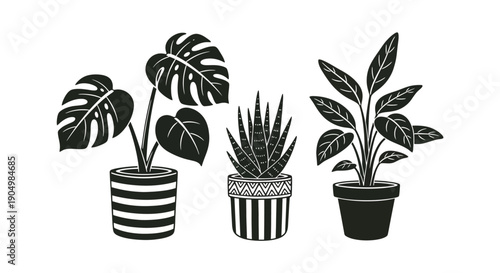 Indoor plants in decorative pots, a stylish display of foliage, viewed from the front