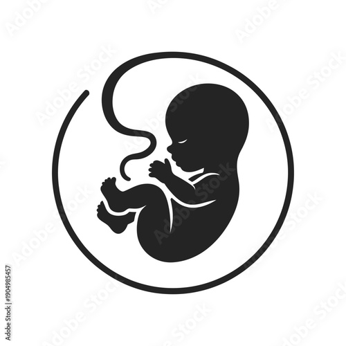 Black and white illustration of a fetus inside a womb during pregnancy isolated on white background, Vector, illustration