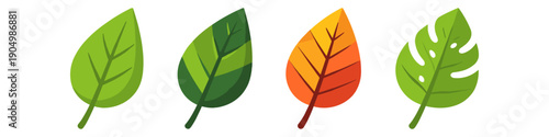 Collection of stylized leaves in various colors and shapes on a white background